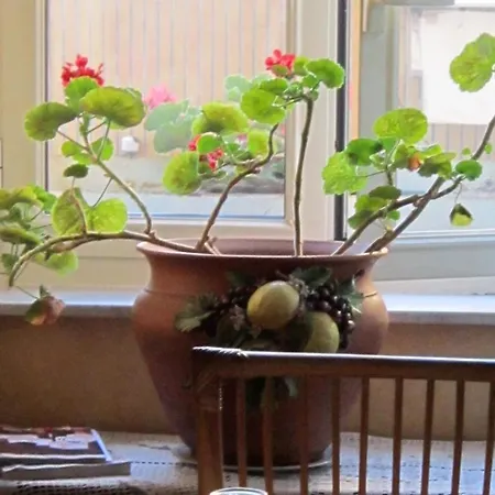 Bed & Breakfast Bonapace Mergellina 2*